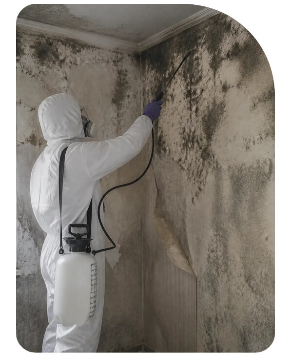 Дезинфекция от грибка и плесени в Новоалтайске по цене от 4090 р. | Сенат-Нвл